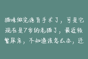 猫咪做完绝育手术了,可是它现在是7岁的老猫了,最近频繁尿床,不知道该怎么办,还请高手指点?-动物百科