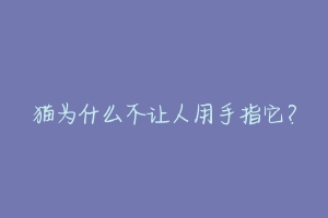 猫为什么不让人用手指它?-动物百科