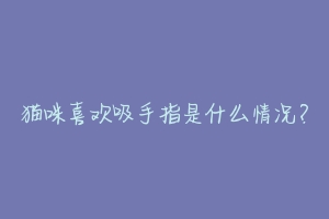 猫咪喜欢吸手指是什么情况?-动物百科
