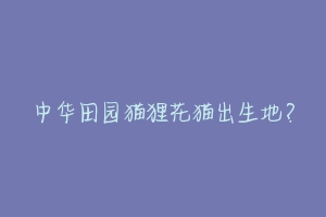 中华田园猫狸花猫出生地?-动物百科