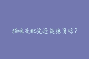 猫咪交配完还能绝育吗?-动物百科