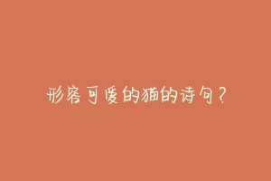 形容可爱的猫的诗句?-动物百科