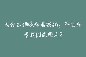 为什么猫咪粘着我妈,不会粘着我们这些人?-动物百科