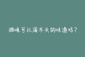猫咪可以闻木头的味道吗？-动物百科