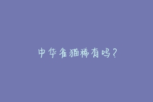 中华雀猫稀有吗?-动物百科