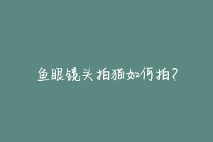 鱼眼镜头拍猫如何拍?-动物百科