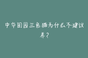 中华田园三色猫为什么不建议养?-动物百科