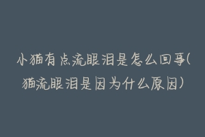 小猫有点流眼泪是怎么回事(猫流眼泪是因为什么原因)-动物百科