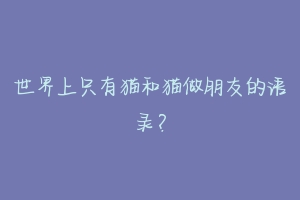 世界上只有猫和猫做朋友的语录?-动物百科
