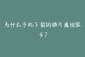 为什么手机下载的猫片播放很卡?-动物百科