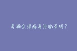 养猫会得病毒性脑炎吗?-动物百科