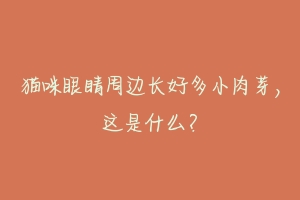 猫咪眼睛周边长好多小肉芽,这是什么?-动物百科