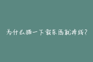 为什么猫一下载东西就掉线?-动物百科