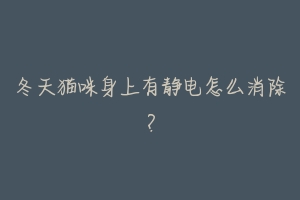 冬天猫咪身上有静电怎么消除?-动物百科