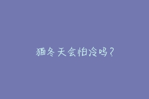 猫冬天会怕冷吗?-动物百科