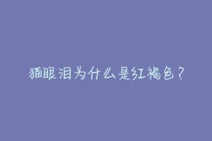 猫眼泪为什么是红褐色？-动物百科