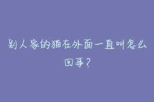 别人家的猫在外面一直叫怎么回事？-动物百科