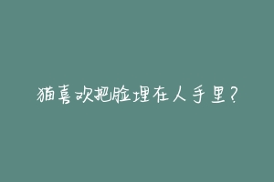 猫喜欢把脸埋在人手里?-动物百科