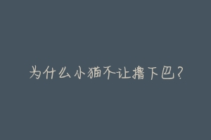 为什么小猫不让撸下巴?-动物百科
