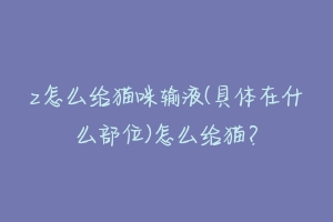 z怎么给猫咪输液(具体在什么部位)怎么给猫?-动物百科