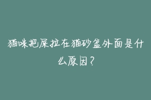 猫咪把屎拉在猫砂盆外面是什么原因?-动物百科
