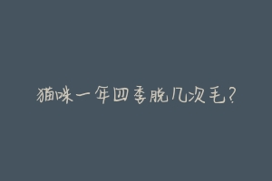 猫咪一年四季脱几次毛?-动物百科