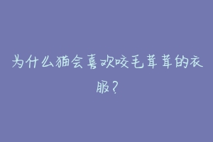 为什么猫会喜欢咬毛茸茸的衣服?-动物百科