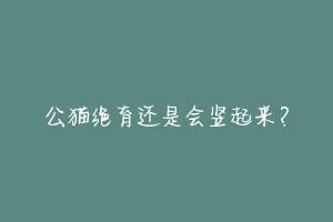 公猫绝育还是会竖起来?-动物百科
