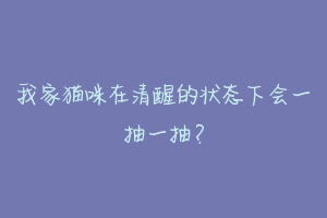 我家猫咪在清醒的状态下会一抽一抽?-动物百科