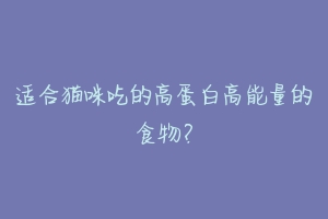 适合猫咪吃的高蛋白高能量的食物?-动物百科