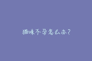猫咪不孕怎么办?-动物百科