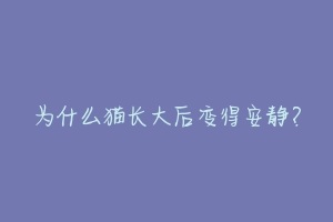为什么猫长大后变得安静?-动物百科