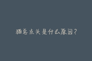 猫总点头是什么原因?-动物百科