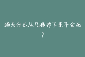 猫为什么从几楼掉下来不会死?-动物百科