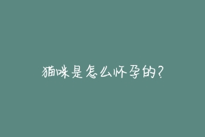 猫咪是怎么怀孕的?-动物百科