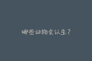 哪些动物会认生?-动物百科