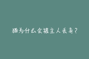 猫为什么会被主人丢弃?-动物百科