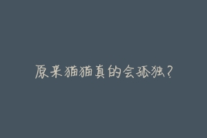 原来猫猫真的会孤独?-动物百科