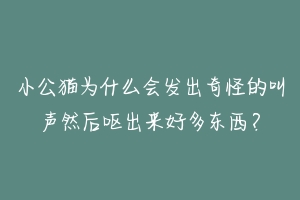 小公猫为什么会发出奇怪的叫声然后呕出来好多东西?-动物百科