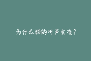 为什么猫的叫声会变?-动物百科