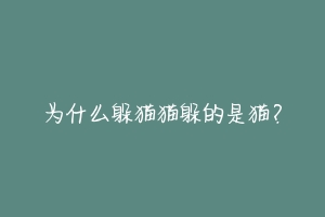 为什么躲猫猫躲的是猫?-动物百科