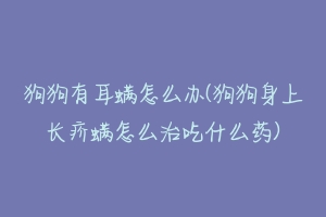 狗狗有耳螨怎么办(狗狗身上长疥螨怎么治吃什么药)-动物百科