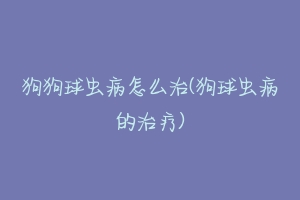 狗狗球虫病怎么治(狗球虫病的治疗)-动物百科
