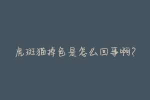 虎斑猫掉色是怎么回事啊?-动物百科