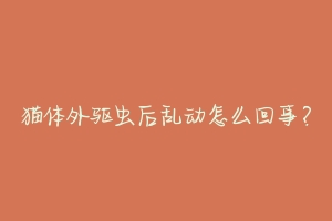 猫体外驱虫后乱动怎么回事?-动物百科