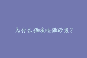 为什么猫咪咬猫砂袋?-动物百科