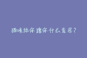 猫咪舔你蹭你什么意思?-动物百科