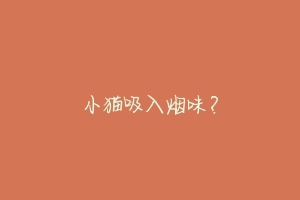 小猫吸入烟味?-动物百科