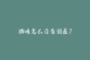 猫咪怎么没有泪痕？-动物百科