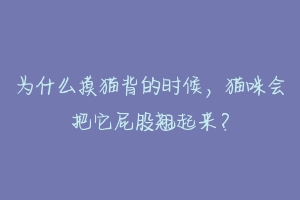 为什么摸猫背的时候，猫咪会把它屁股翘起来？-动物百科